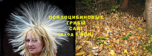скорость Богородск